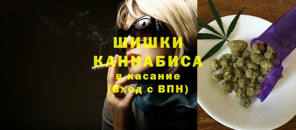 молекула духа Нягань