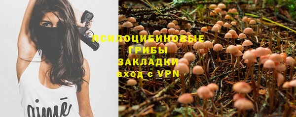молекула духа Нягань