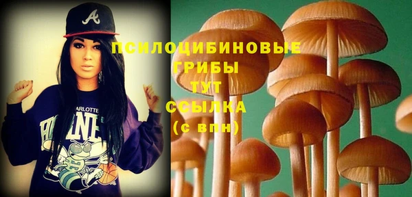 молекула духа Нягань