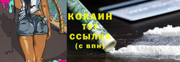 меф Няндома